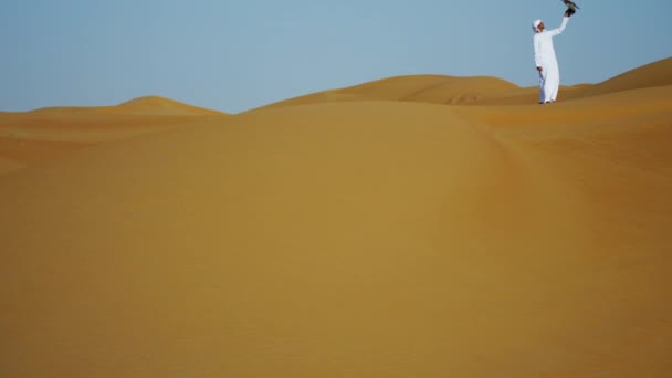 在沙漠中与猛禽鹰 — 图库视频影像