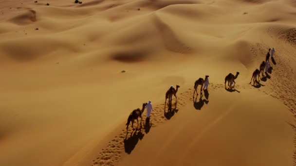 Comboio de camelo que atravessa o deserto — Vídeo de Stock