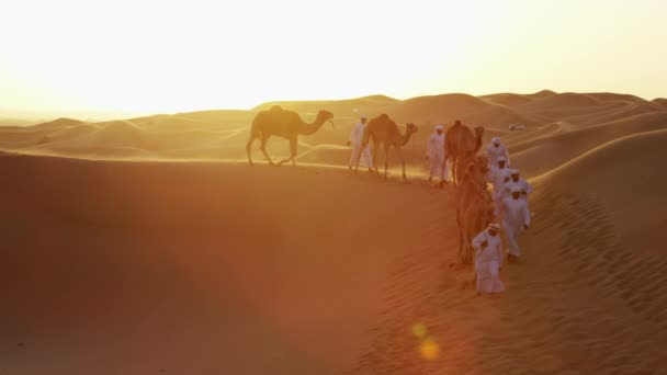 Comboio de camelo que atravessa o deserto — Vídeo de Stock