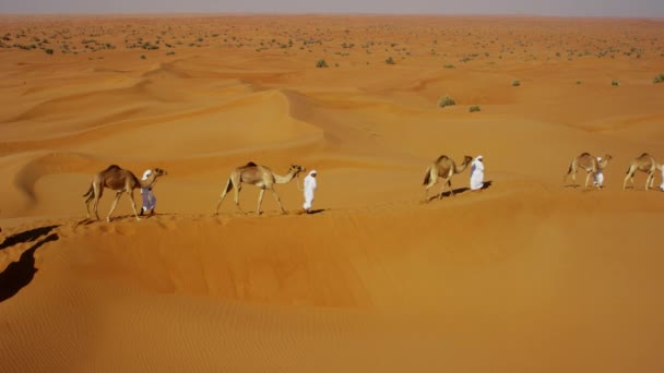 Convoy de camellos viajando por el desierto — Vídeo de stock
