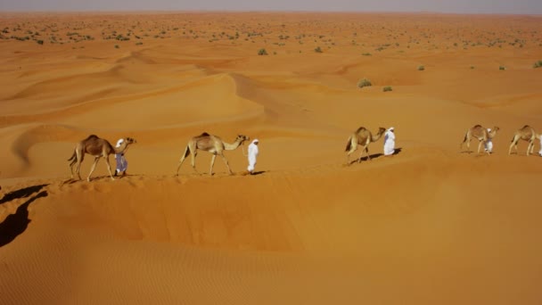 Convoy de camellos viajando por el desierto — Vídeos de Stock