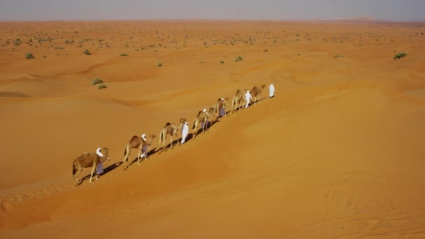 Karavana cestování přes poušť — Stock video
