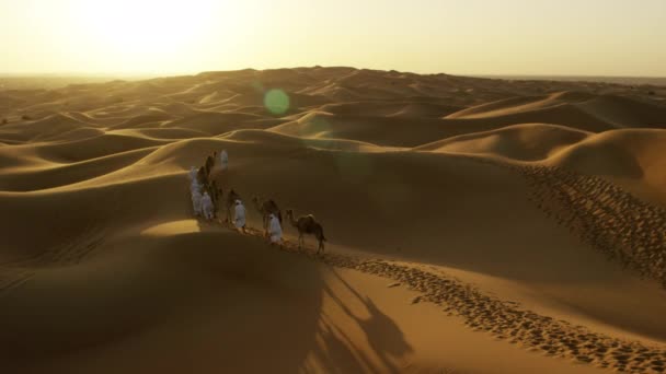 Konvoj velbloudy cestování přes poušť — Stock video