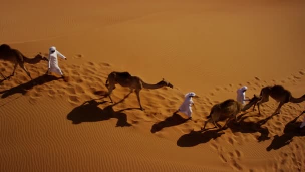 Propietarios de camellos en convoy desierto — Vídeo de stock