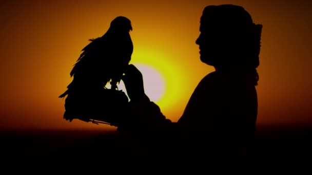 Man with bird of prey on desert sands — Stock Video