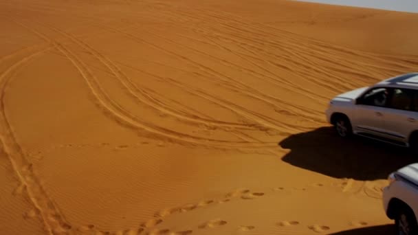 关闭道路沙漠野生动物园，迪拜 — 图库视频影像