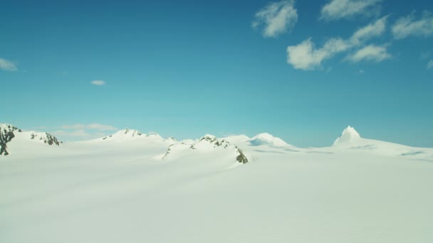 Snö täckta landskap i Alaska — Stockvideo