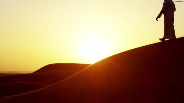 骆驼穿越沙漠由处理程序 — 图库视频影像