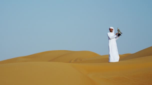 Muž s dravý pták stojící na pouštní písek — Stock video