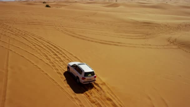 Zniżki na pojazdy drogowe o Desert Safari — Wideo stockowe