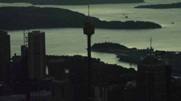 Downtown skyskrapor i Sydney — Stockvideo