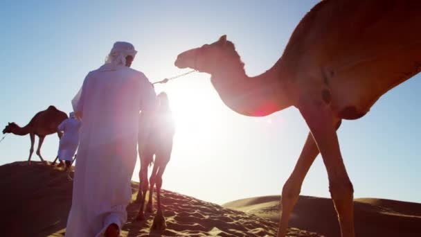 Eigenaars van de kameel in woestijn konvooi — Stockvideo