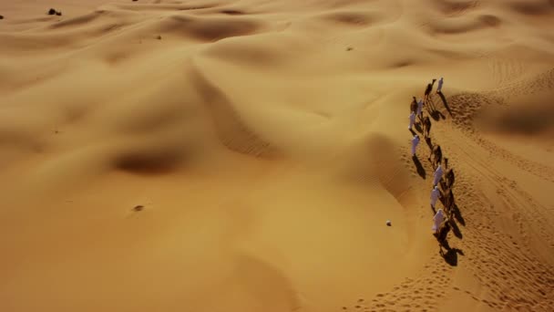 Comboio de camelos que viajam pelo deserto — Vídeo de Stock