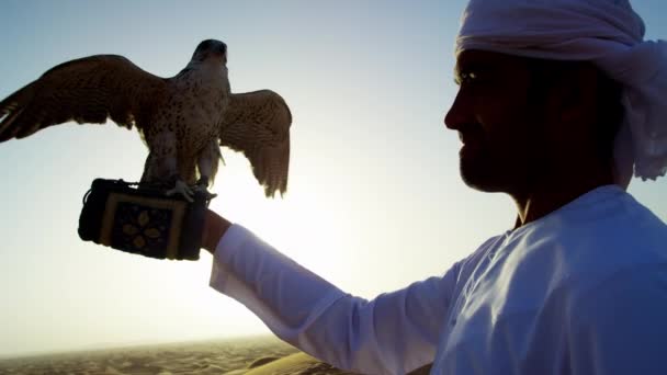 Człowiek z ptaków drapieżnych na piaskach pustyni — Wideo stockowe