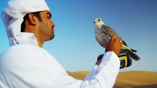 Trained falcon tethered to male owner — Stock Video