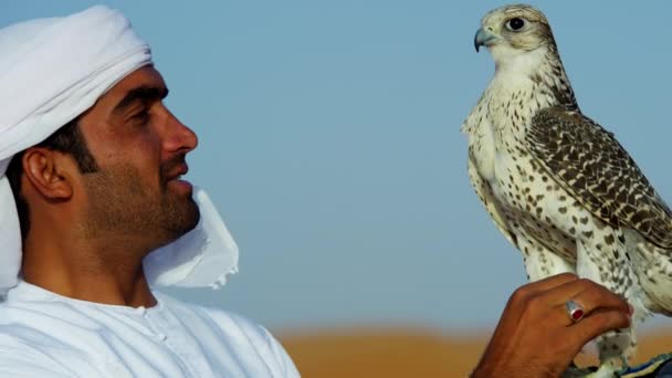 Arab na sobě dishdasha s vyškolenými falcon — Stock video