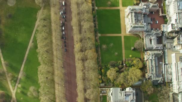 在伦敦的圣詹姆斯公园 — 图库视频影像
