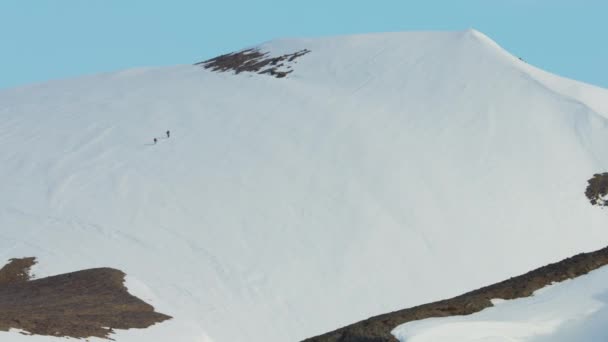 Escaladores en montañas cubiertas de nieve — Vídeo de stock