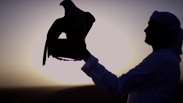Man with bird of prey on desert sands — Stock Video