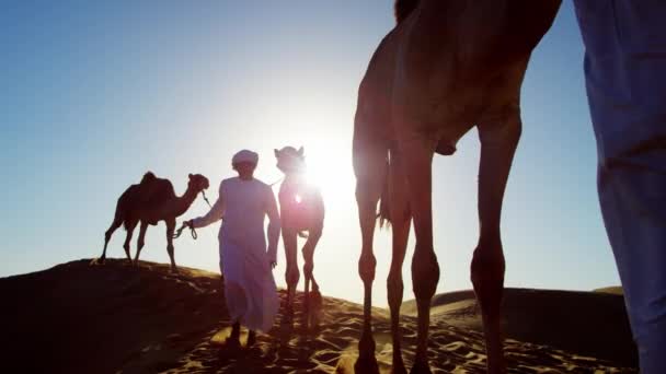 Власники верблюдів в пустельному конвою — стокове відео