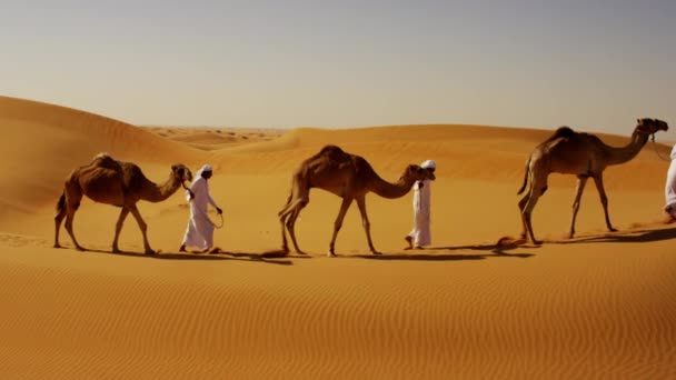 Comboio de camelos que viajam pelo deserto — Vídeo de Stock