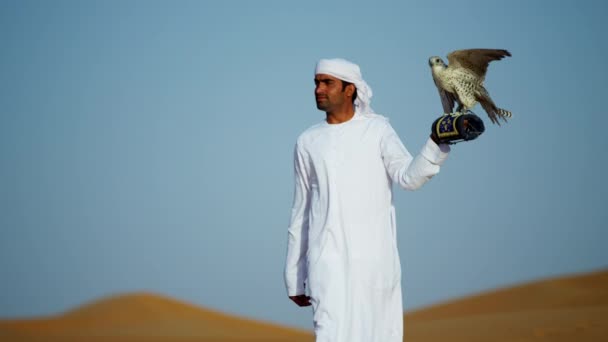 Arab wearing dishdasha with trained falcon — Stock Video