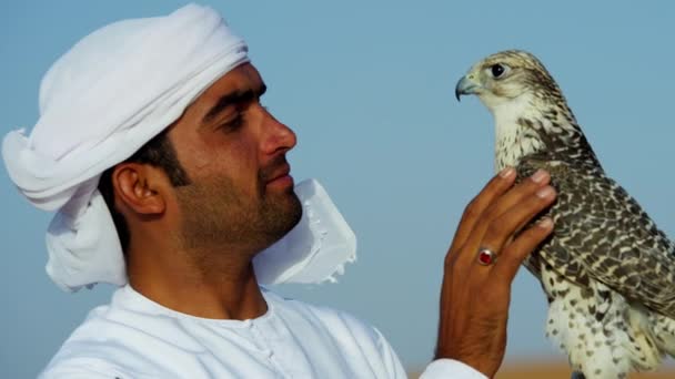 Vyškolení falcon uvázána na mužské vlastníka — Stock video