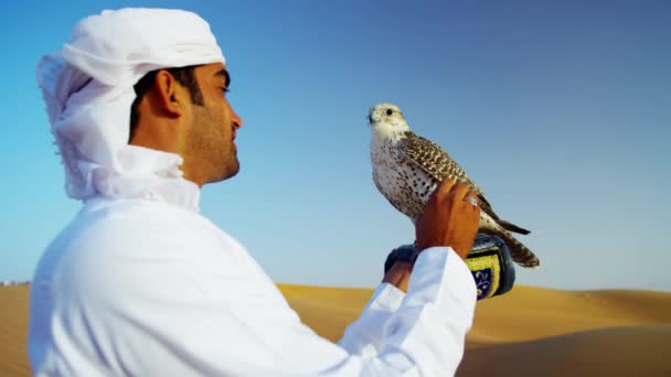 Fauconnier dans le désert avec oiseau de proie — Video