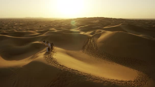 Treno cammello che attraversa il deserto — Video Stock