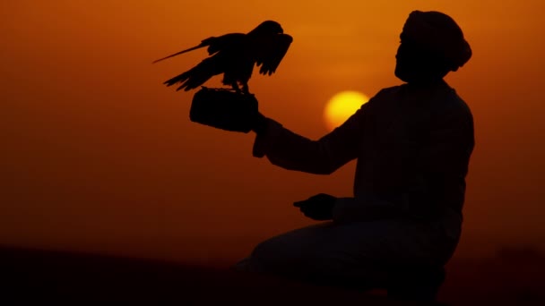 Man with bird of prey on desert sands — Stock Video