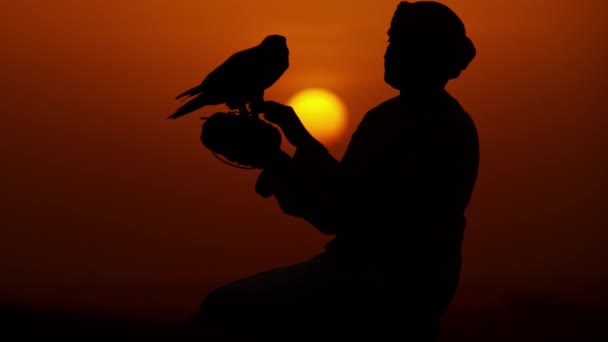 Arab in dishdasha with trained falcon — Stock Video