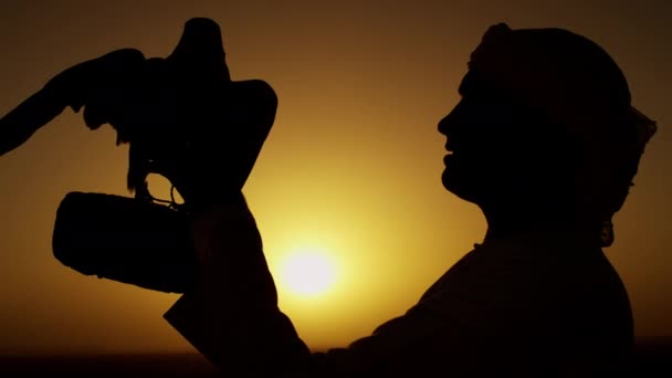 Arab in dishdasha with trained falcon — Stock Video