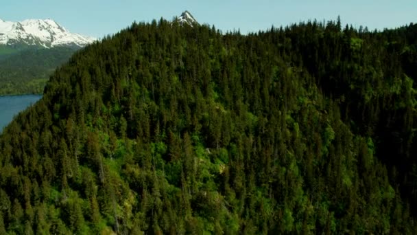Гори і Kachemak Бей, Аляска — стокове відео