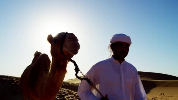Comboio de camelos que viajam pelo deserto — Vídeo de Stock