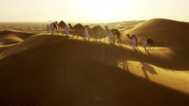 Camelos sendo liderados por manipuladores através do deserto — Vídeo de Stock