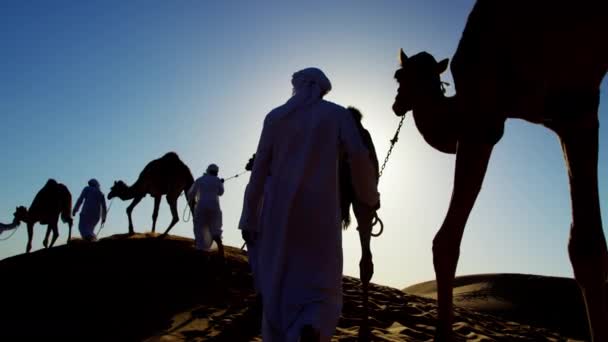 Караван верблюдов, путешествующий по пустыне — стоковое видео