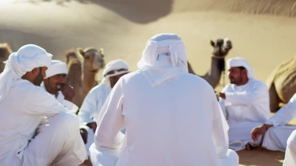 Chameaux sur Safari dans les dunes du désert — Video