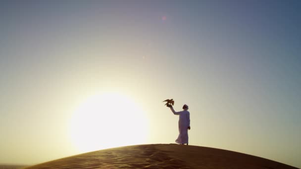 Falconer in desert with bird of prey — Stock Video