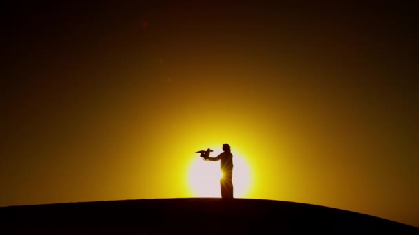 Arab in dishdasha with trained falcon — Stock Video