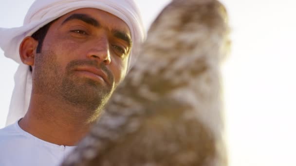 Araber trägt Dischdascha mit trainiertem Falken — Stockvideo