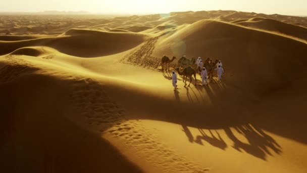 Hombres árabes guiando camellos por el desierto — Vídeo de stock