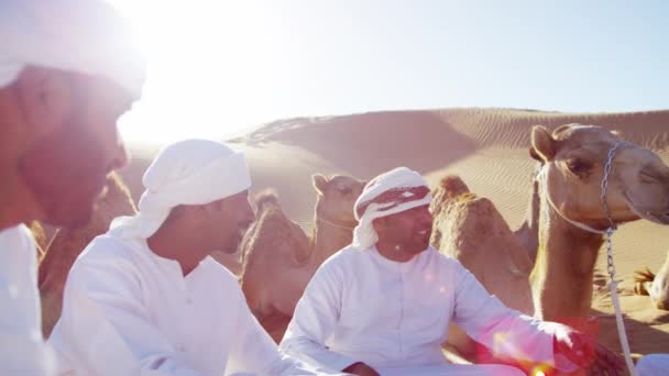 Hombres beduinos descansando camellos en el desierto — Vídeo de stock