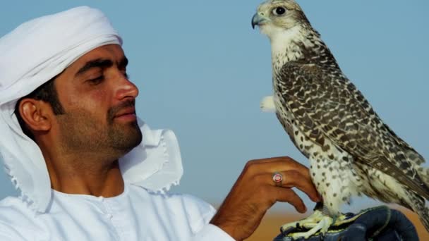 Falcon på handskar handled av ägaren — Stockvideo