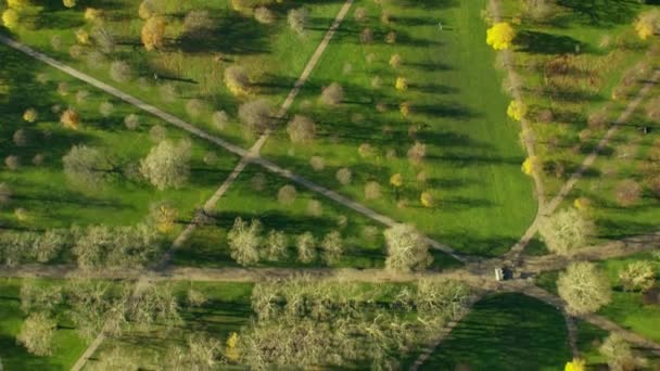 Yılan gibi ve Kensington Gardens Londra'nın — Stok video