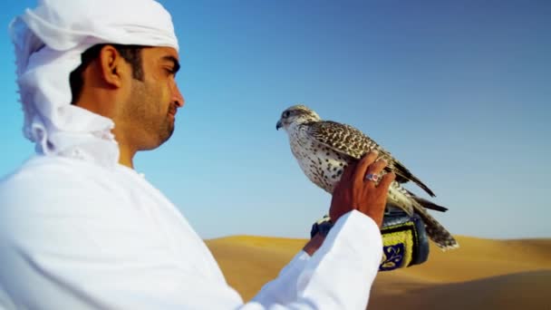Arabo indossa dishdasha con falco addestrato — Video Stock
