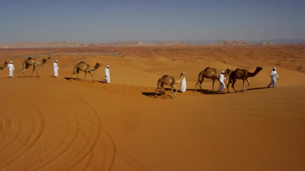 Верблюд поїзд подорожує через пустелю — стокове відео