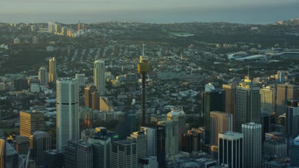 Wolkenkratzer in der Innenstadt von Sydney — Stockvideo