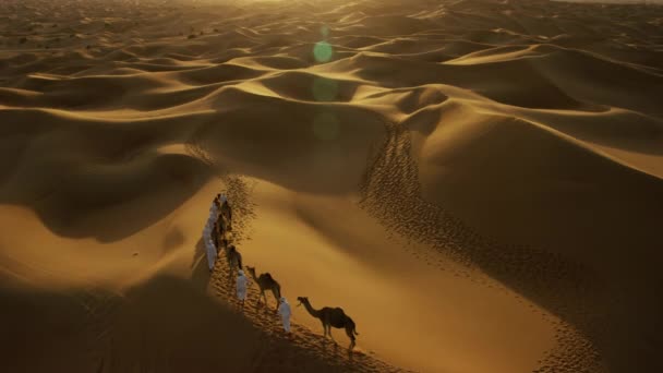 Hombres árabes guiando camellos por el desierto — Vídeo de stock