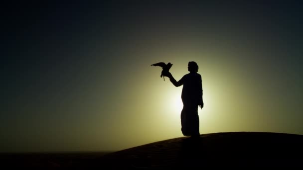 Falconer in woestijn met roofvogels — Stockvideo