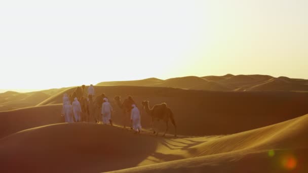 Camel owners in desert convoy — Stock Video